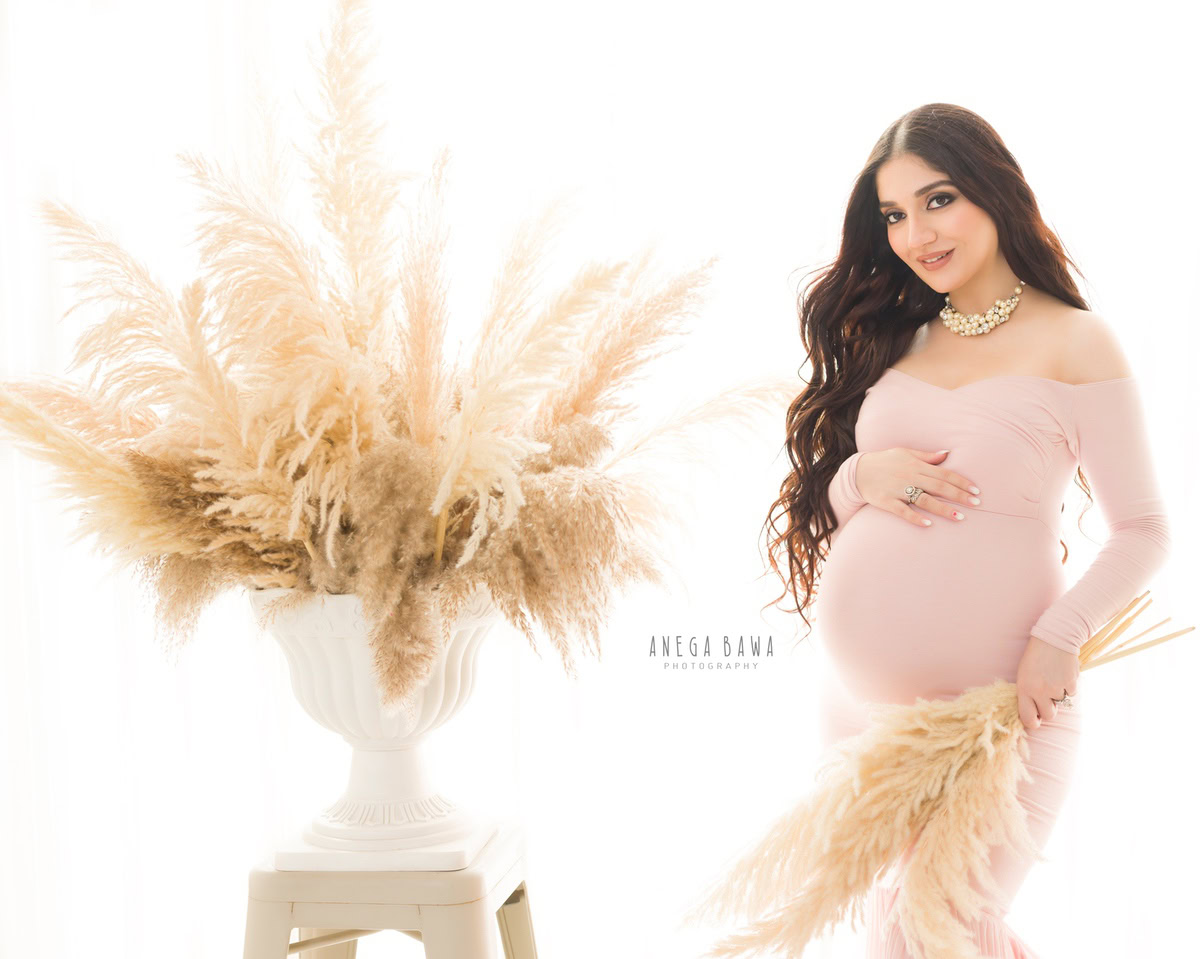 Pregnancy Photoshoot in Delhi: Baby Pink Gown, Brown Shrubs, by Anega Bawa Photography, Gurgaon Noida.