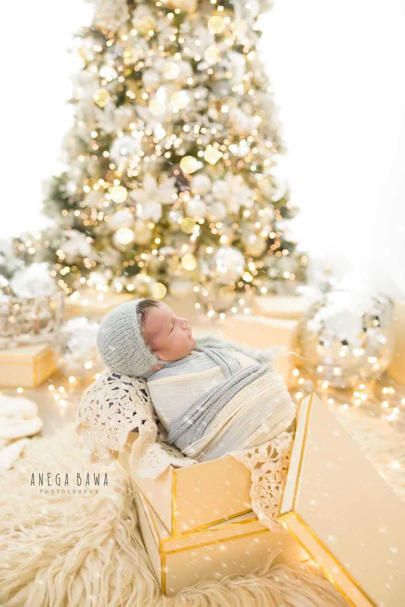 Newborn Photography in Delhi: Blue and White Wrap, Xmas Tree, Beige Rug, White Backdrop. Photographer: Anega Bawa Photoshoot, Gurgaon Noida.