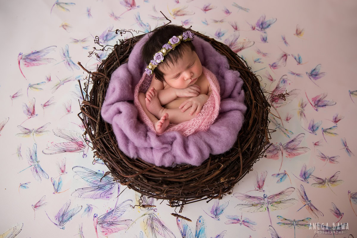 Newborn Photography in Delhi: Lavender Blanket, Pink Wrap, Brown Basket, Leafy Backdrop. Photographer: Anega Bawa Photoshoot, Gurgaon Noida.