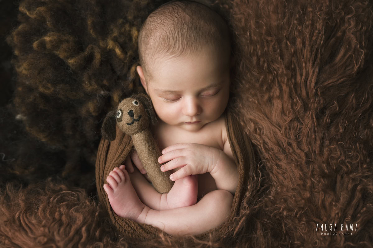Newborn Photography in Delhi: Brown Wrap, Brown Toy, Brown Rug, Cute Sleeping Posture. Photographer: Anega Bawa Photoshoot, Gurgaon Noida.