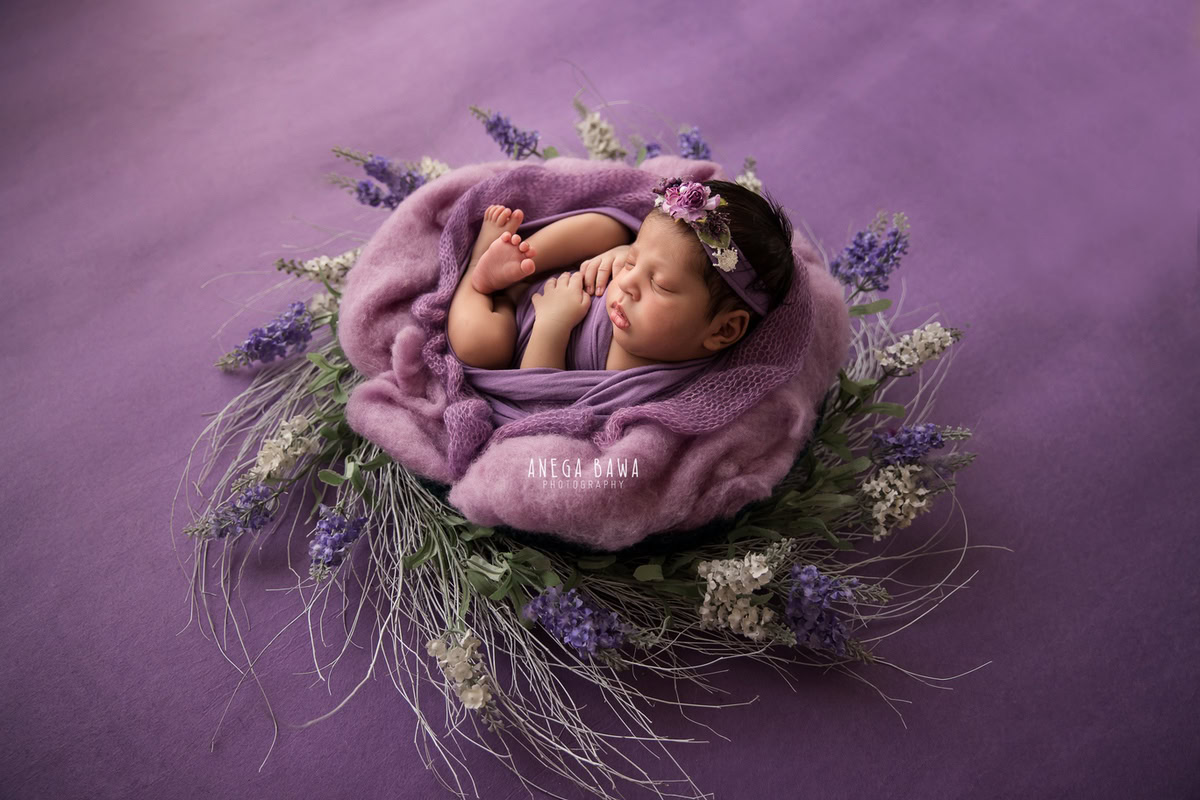 Newborn Photography in Delhi: Lavender Wrap, Floral Basket, Lavender Backdrop. Photographer: Anega Bawa Photoshoot, Gurgaon Noida.