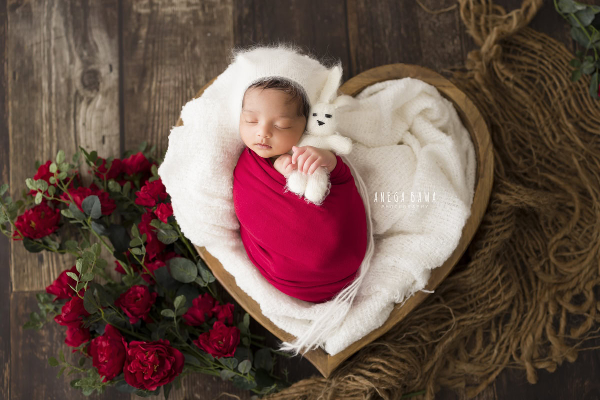 Newborn Photography in Delhi: Red Wrap with Heart-shaped Basket and Red Flowers on Brown Backdrop. Photographer: Anega Bawa, Gurgaon Noida.