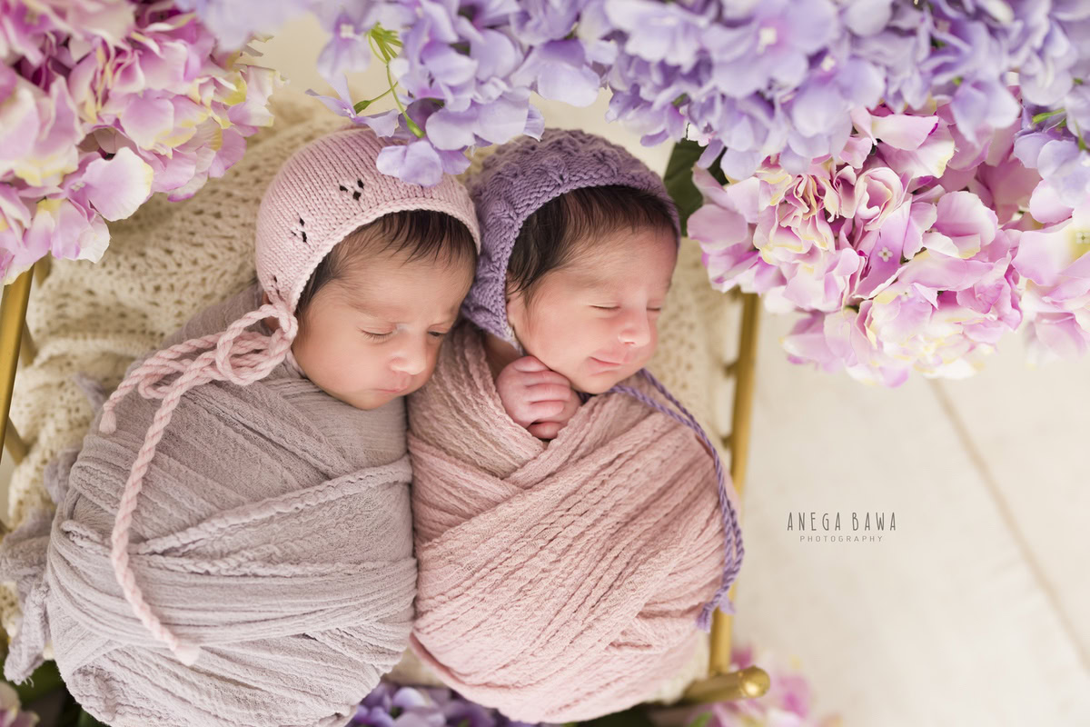 Newborn Photography in Delhi: Twins with Purple and Pink Flowers. Photographer: Anega Bawa, Gurgaon Noida.