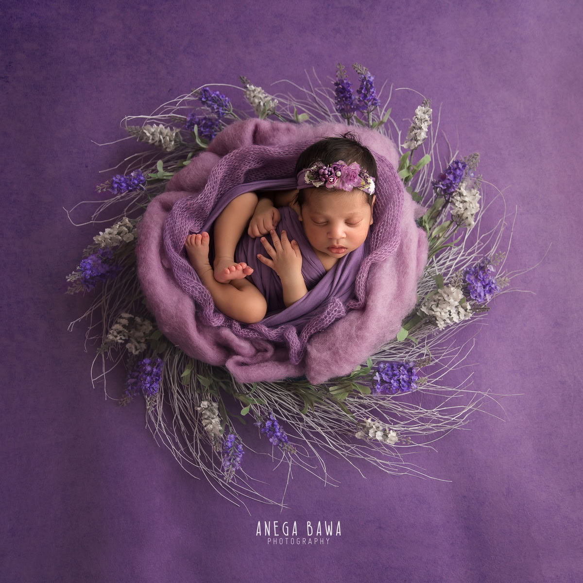 Newborn Photoshoot in Delhi: Lavender Wrap with Lavender Backdrop. Photographer: Anega Bawa Photography, Gurgaon Noida.