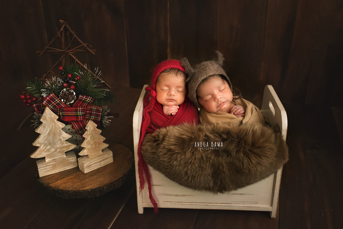 Newborn Photoshoot in Delhi: Twins on Brown Rug with Xmas Tree, Brown Backdrop. Photographer: Anega Bawa Photography, Gurgaon Noida.