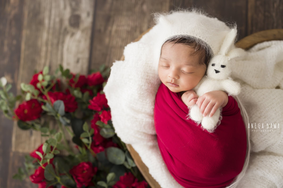 Newborn Photoshoot in Gurgaon: A baby wrapped in red with a soft toy surrounded by red flowers on a brown backdrop. Photographer: Anega Bawa Photography, Delhi Noida.