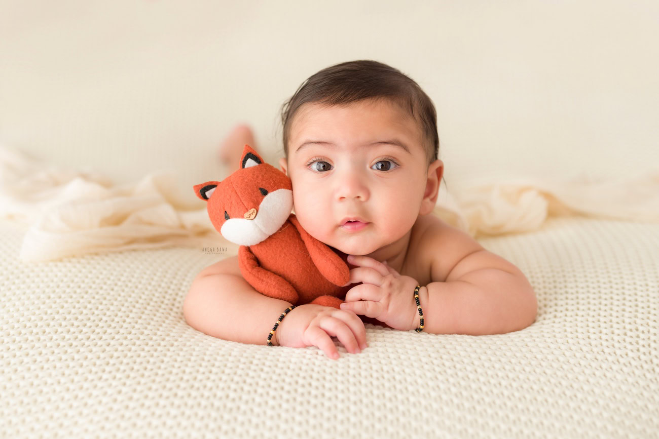 Baby boy photo shoot, 6 or 5 or 3 or 4 months, white backdrop, soft toy. Location: Delhi, Gurgaon, Noida. Photographer: Anega Bawa.
