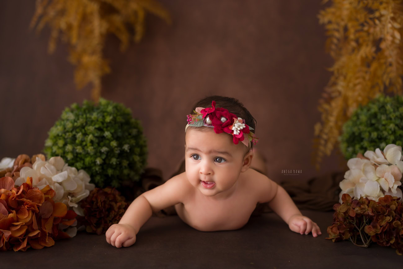 Baby girl photo shoot, 6 or 5 or 3 or 4 months, cute headband, brown backdrop, brown shrubs. Location: Delhi, Gurgaon, Noida. Photographer: Anega Bawa.