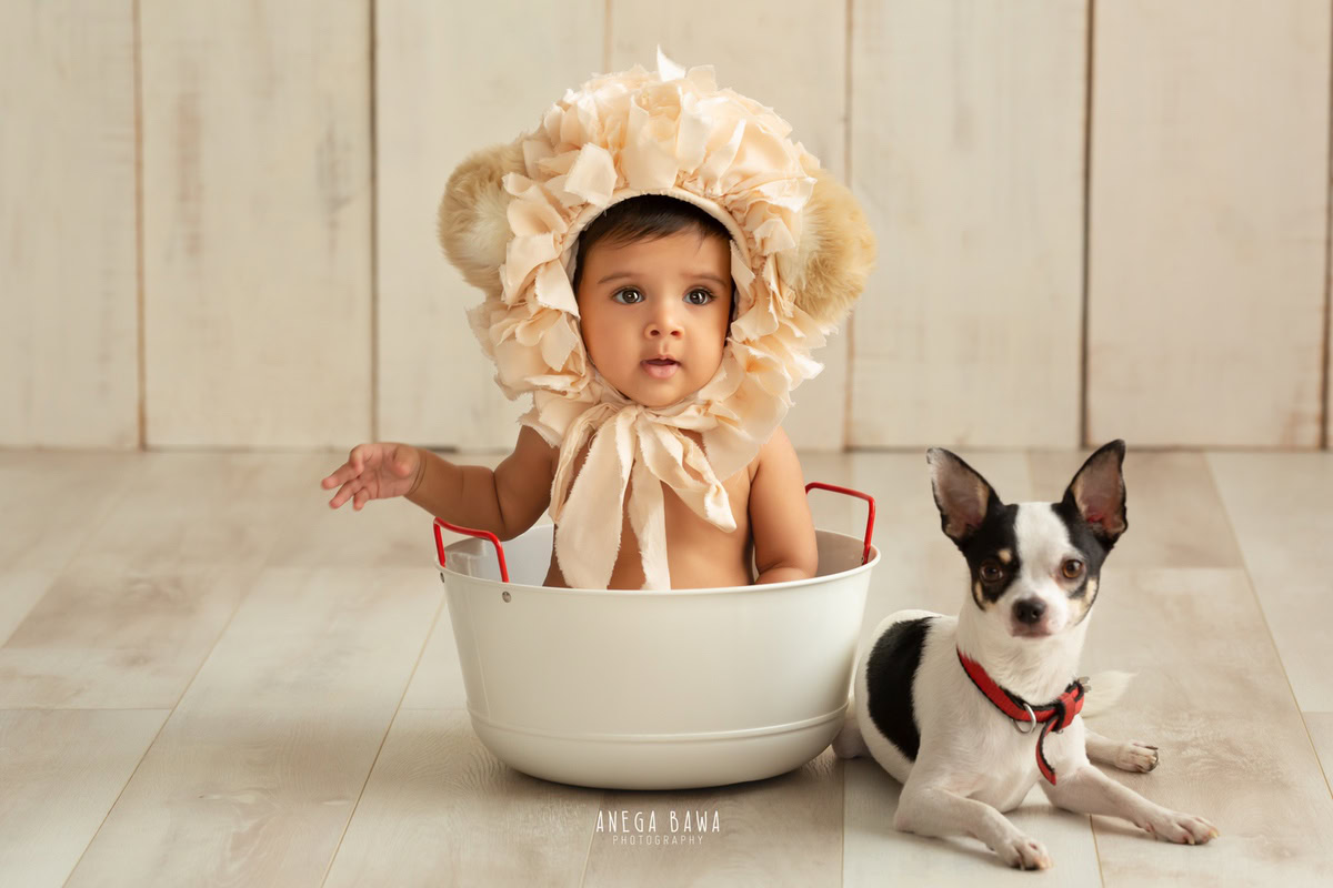 Charming boy seated in a tub adorned with a unique golden cap, accompanied by a loyal dog, against a serene beige backdrop, commemorating his 14 months first birthday photoshoot in Delhi by Anega Bawa, Gurgaon, Noida
