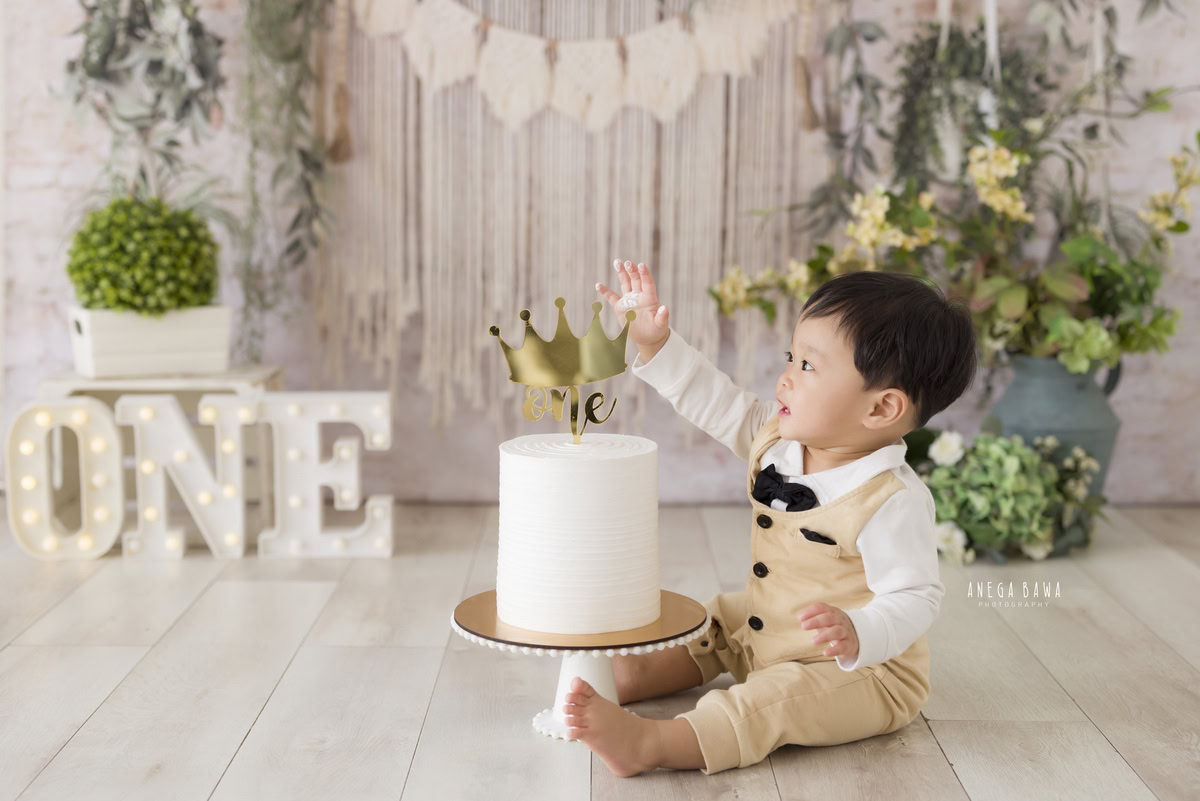 1 year old boy with Cake Smash, against a beige net backdrop, surrounded by a green vase and leafy fringes, captured in a charming first birthday photo shoot by Anega Bawa in Delhi, Gurgaon.