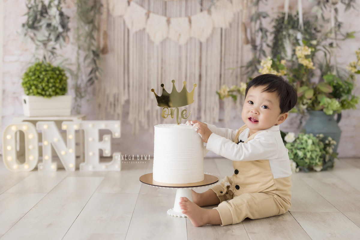 1 year boy with a cake, set against a beige net backdrop with a green vase during a first birthday photoshoot by well-known Anega Bawa Photography in Delhi, Gurgaon.