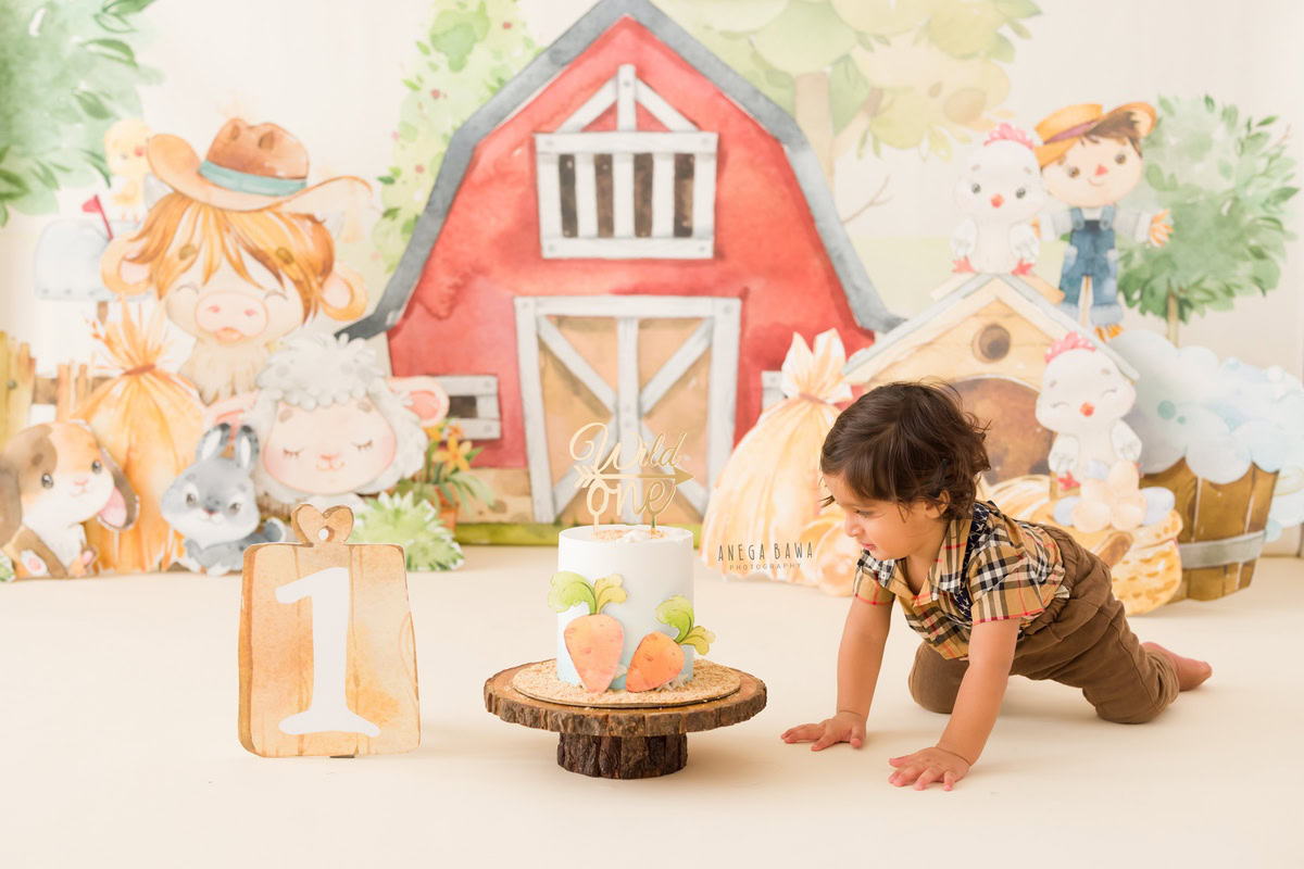 1 year boy with a cake, set against a cartoon-themed backdrop during a first birthday photoshoot by well-known Anega Bawa Photography in Delhi, Gurgaon.